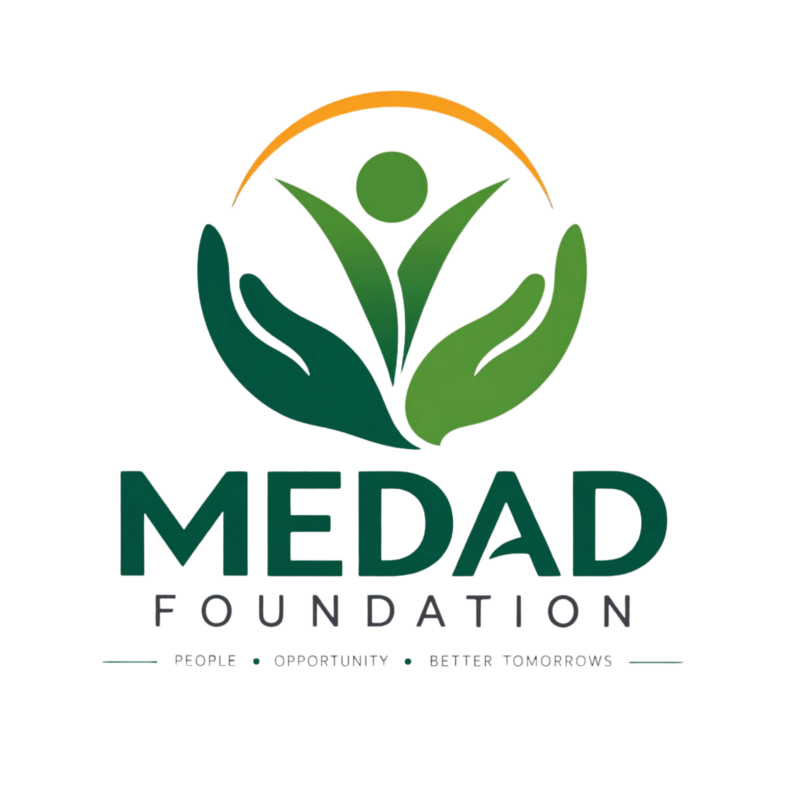 Medad Foundation Emblem Logo